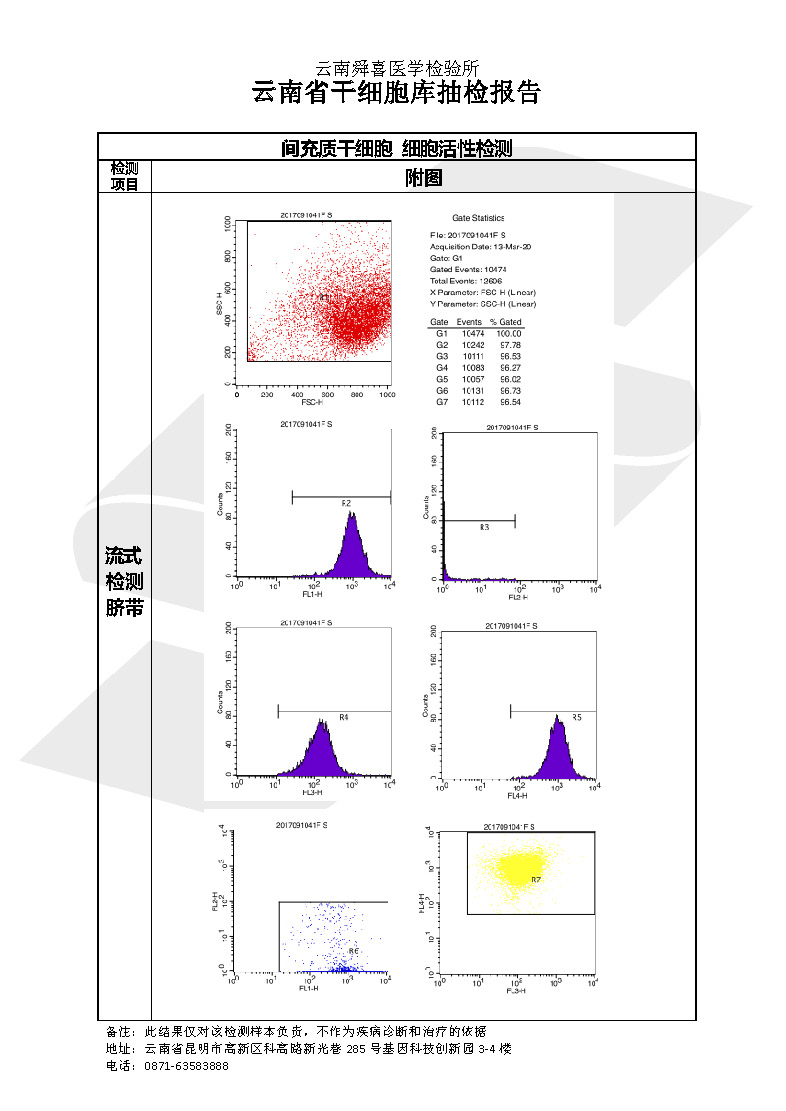 19年間充質(zhì)干細胞抽檢報告_頁面_2.jpg