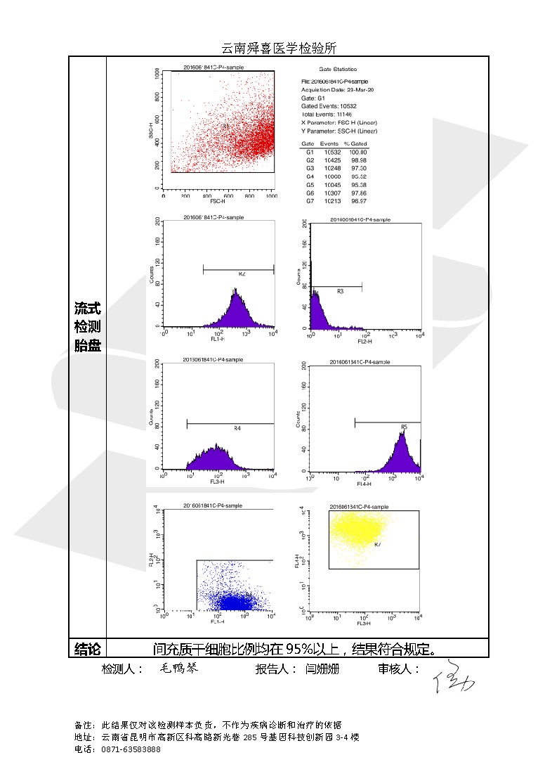19年間充質(zhì)干細胞抽檢報告_頁面_3.jpg