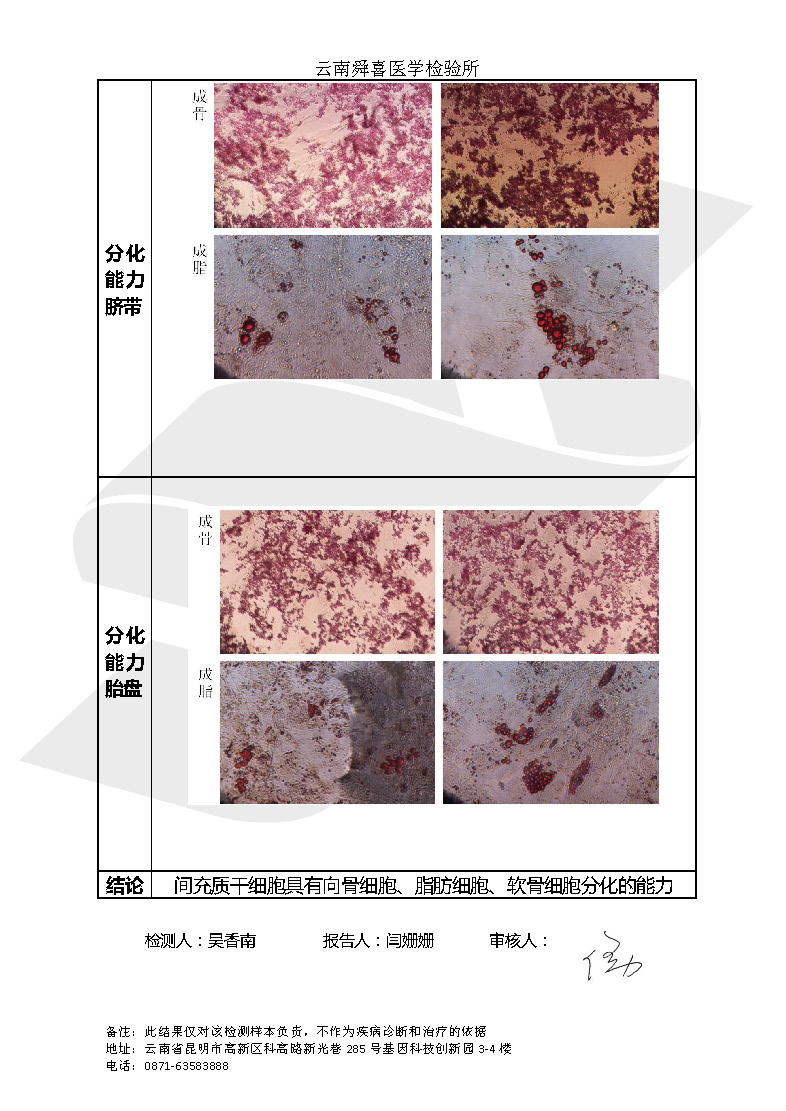 19年間充質(zhì)干細胞抽檢報告_頁面_4.jpg