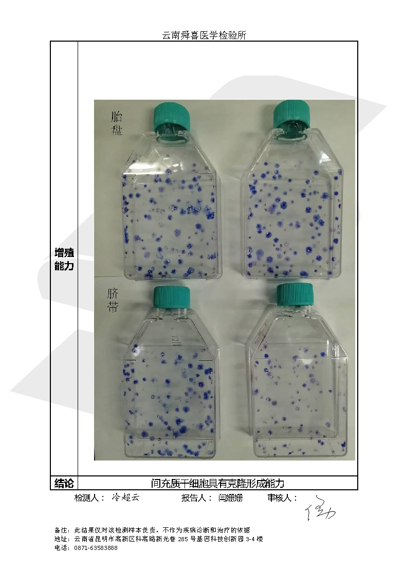 19年間充質(zhì)干細胞抽檢報告_頁面_5.jpg