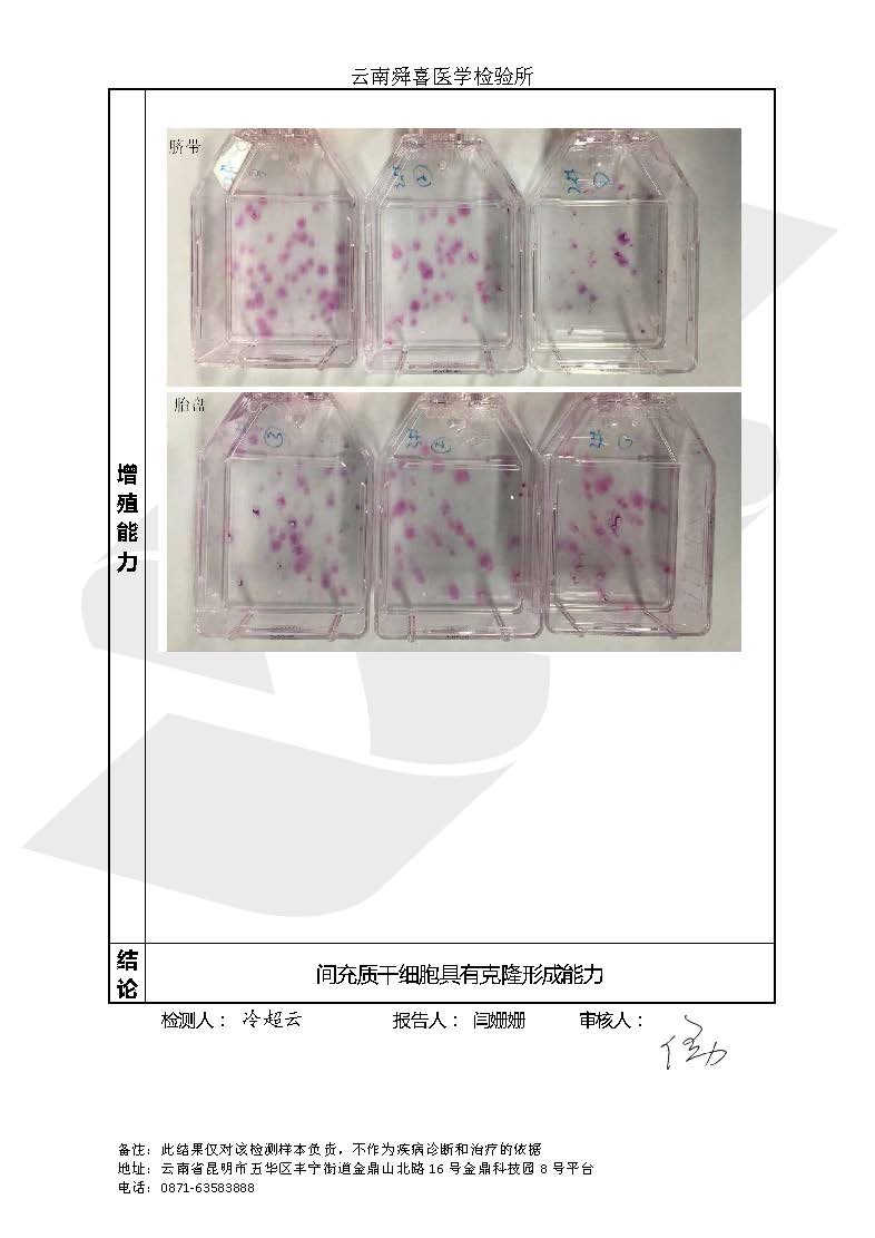21年間充質干細胞抽檢報告_頁面_5.jpg